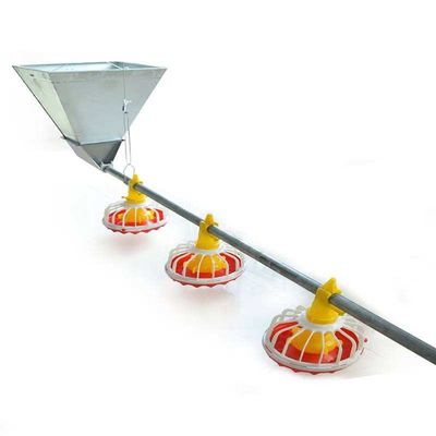 Feeding equipment for breeding chicken feed line barrel type metering synchronous feeding system to support spot