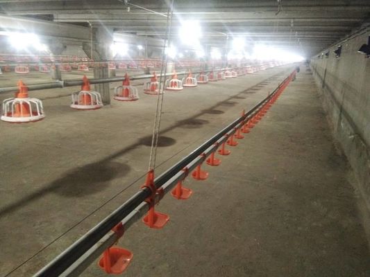 Automatic Feeding System For Poultry Chicken Feeding Line 10 Liters Capacity