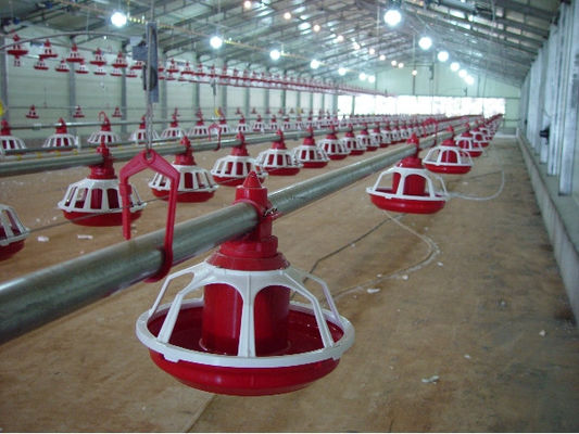 Automatic Feeding System For Poultry Chicken Feeding Line 10 Liters Capacity