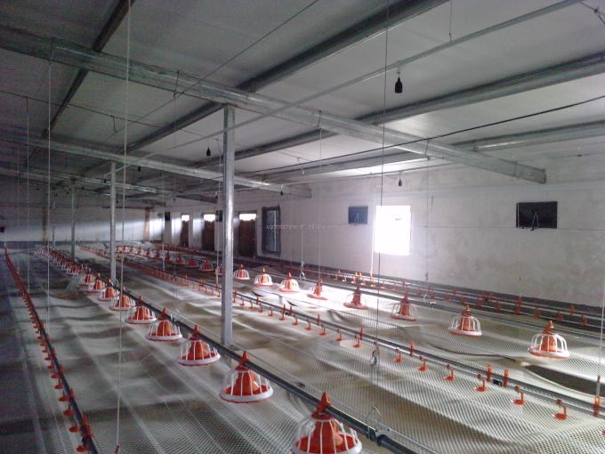 อัตโนมัติ brolier feeding system  floor feeding System for broiler ไก่ farm house ground poultry Feed Equipment