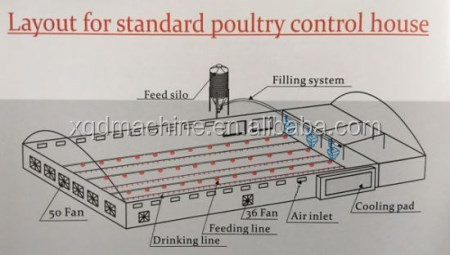 broiler feeding poultry อัตโนมัติ feeders
