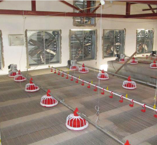 เครื่องป้อนไก่อัตโนมัติเต็มรูปแบบ Auger Feeder Auger Feeder สำหรับฟาร์ม 1