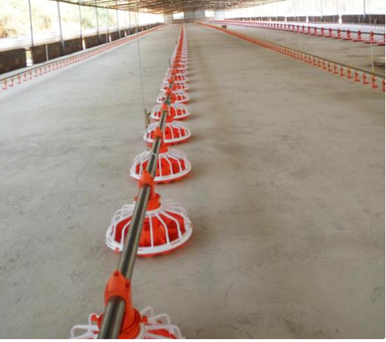 เครื่องป้อนไก่อัตโนมัติเต็มรูปแบบ Auger Feeder Auger Feeder สำหรับฟาร์ม 0