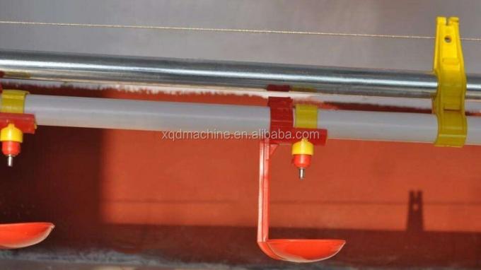 อัตโนมัติ poultry ไก่ water for quail birds farm system China price