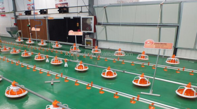 อัตโนมัติ poultry ไก่ water for quail birds farm system China price