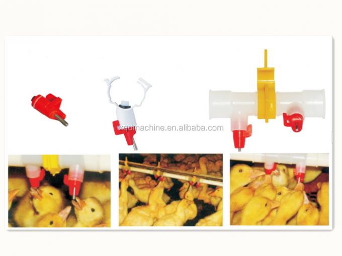 Geese ducks drinking water ระบบรดน้ำ drinkers Nipple Waterer for bird poultry breeding farming