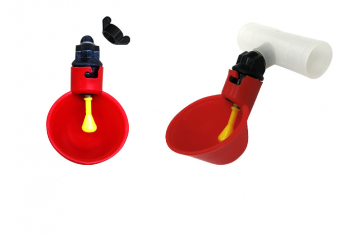 เครื่องมือฟาร์มสัตว์ไก่อัตโนมัติเล้านกไก่น้ำดื่มชามพลาสติกไก่เจี๊ยบจุกนมดื่มหยด 5