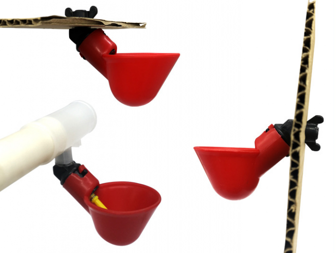 เครื่องมือฟาร์มสัตว์ไก่อัตโนมัติเล้านกไก่น้ำดื่มชามพลาสติกไก่เจี๊ยบจุกนมดื่มหยด 7