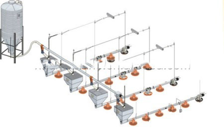 อัตโนมัติ brolier feeding system  floor feeding System for broiler ไก่ farm house ground poultry Feed Equipment