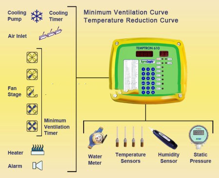 อัตโนมัติ brolier feeding system  floor feeding System for broiler ไก่ farm house ground poultry Feed Equipment