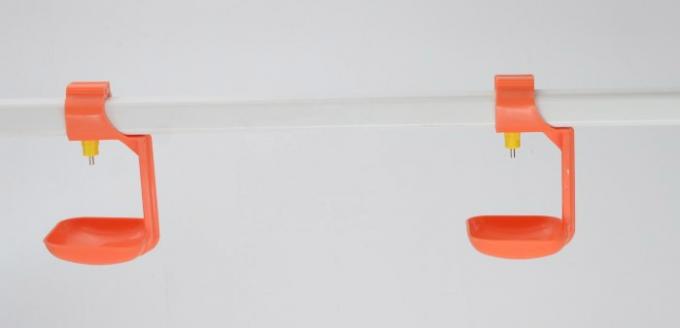อัตโนมัติ brolier feeding system  floor feeding System for broiler ไก่ farm house ground poultry Feed Equipment