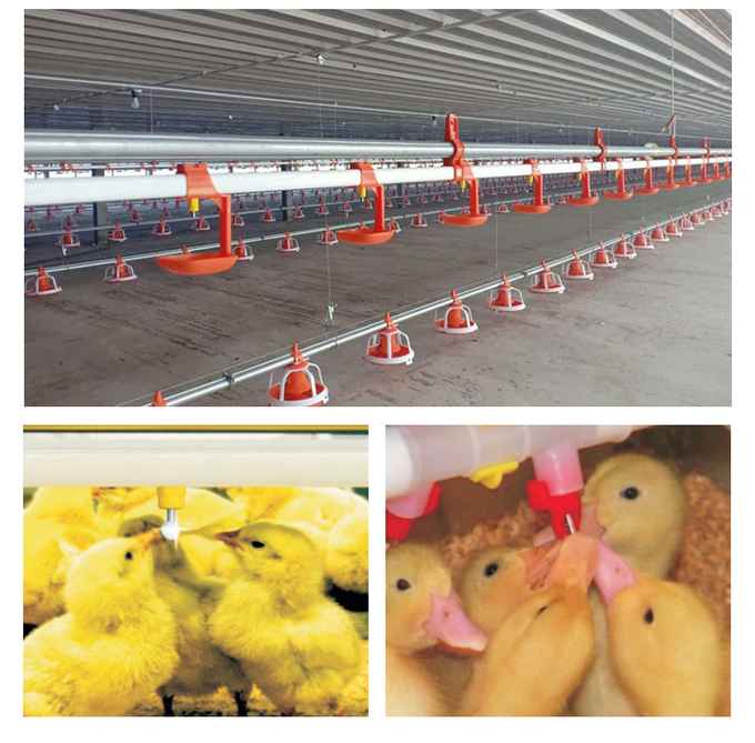 อัตโนมัติ Poultry Nipple Drinker Broiler Water Nipple For ไก่ Farm Equipment 2