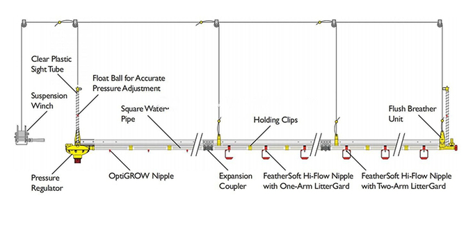 อัตโนมัติ feeding pan system bird feeders poultry equipment 3