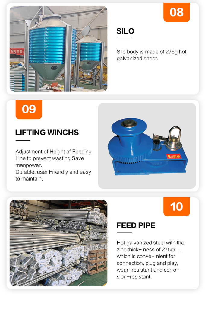 อัตโนมัติ feeding pan system bird feeders poultry equipment 8