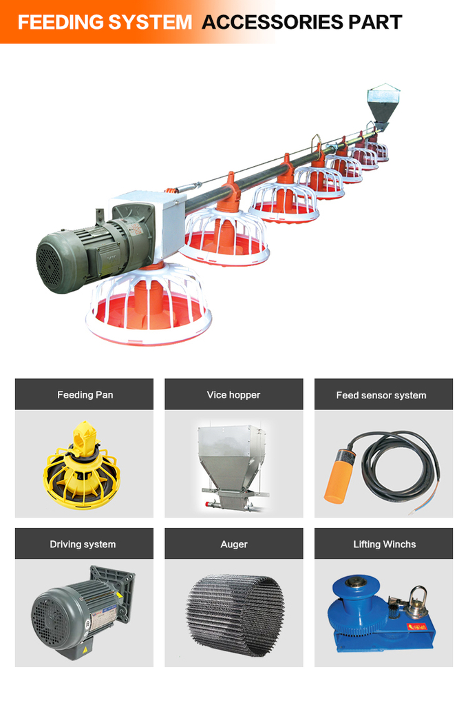 อัตโนมัติ feeding pan system bird feeders poultry equipment 9