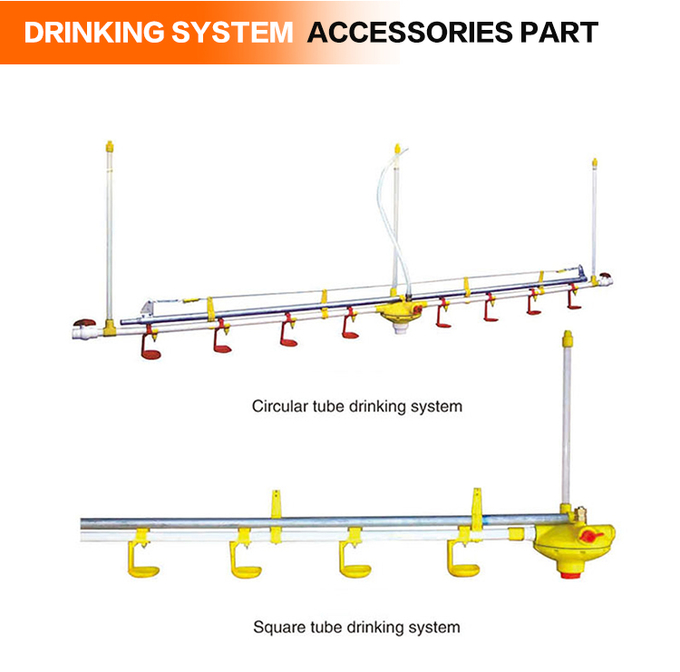 อัตโนมัติ feeding pan system bird feeders poultry equipment 10