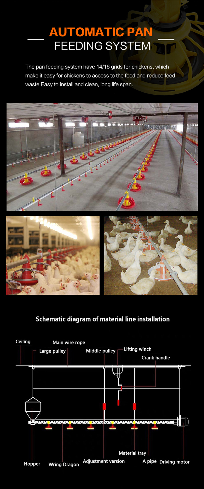 อัตโนมัติ feeding pan system bird feeders poultry equipment 0