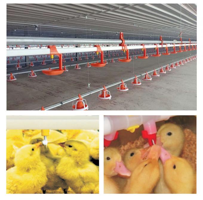 อัตโนมัติ feeding pan line ไก่ feed line 1