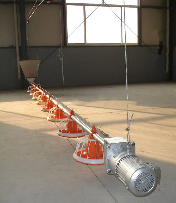 อัตโนมัติ ไก่ Drinking And Feeding  System For ไก่ Poultry  Farming Equipment