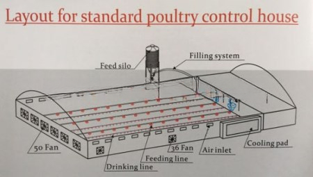 อัตโนมัติ poultry watering water system for ไก่ broilers layers quail farm