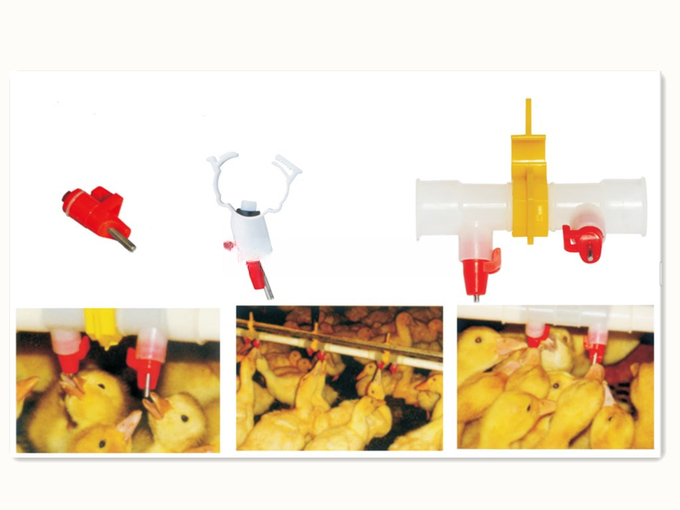 Geese ducks drinking water ระบบรดน้ำ drinkers Nipple Waterer for bird poultry breeding farming