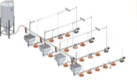 อัตโนมัติ poultry equipment for farm house ground floor feeding line ไก่ Feed System
