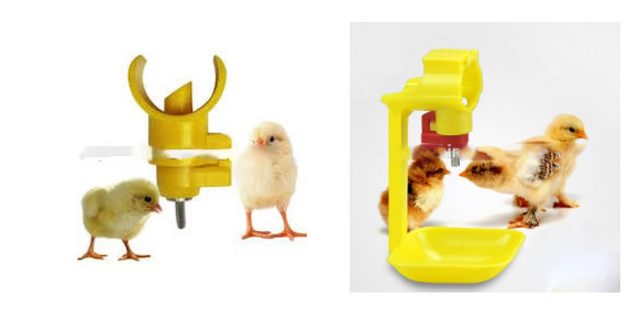 Plastic ไก่ water nipple drinkers for quail broilers   poultry farming