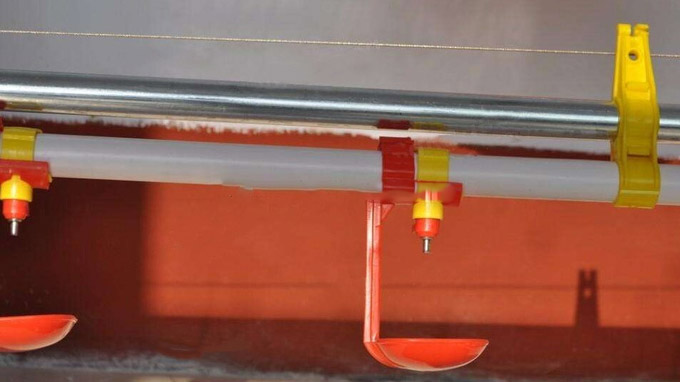 Plastic ไก่ water nipple drinkers for quail broilers   poultry farming