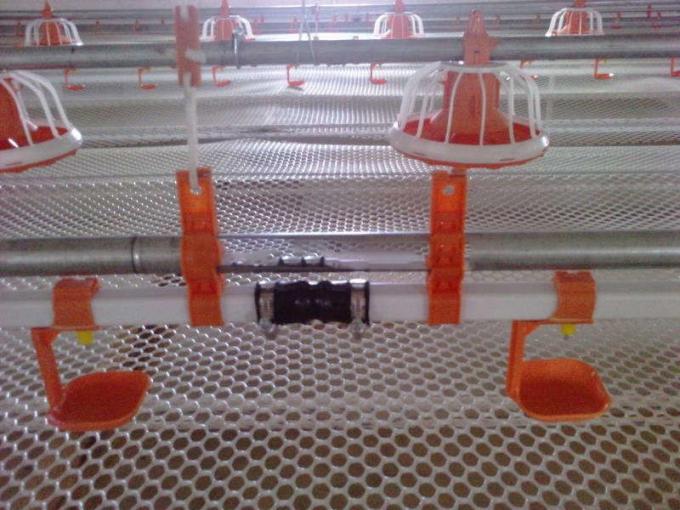 Plastic ไก่ water nipple drinkers for quail broilers   poultry farming