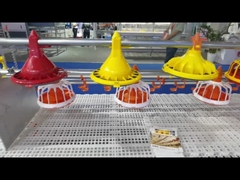 ระบบให้อาหารสัตว์ปีกอัตโนมัติ