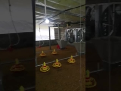 ปรับแรงดันไฟฟ้าอุปกรณ์ป้อนฟาร์มไก่อัตโนมัติแบบกำหนดเอง