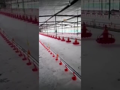 Plasson Bucket Automatic Bell Drinker For Poultry Drinker อุปกรณ์สำหรับสัตว์ปีก