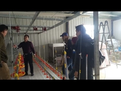 ระบบให้น้ำระบบให้น้ำเป็ดห่านดื่ม Nipple Waterer สำหรับฟาร์มเพาะพันธุ์นก